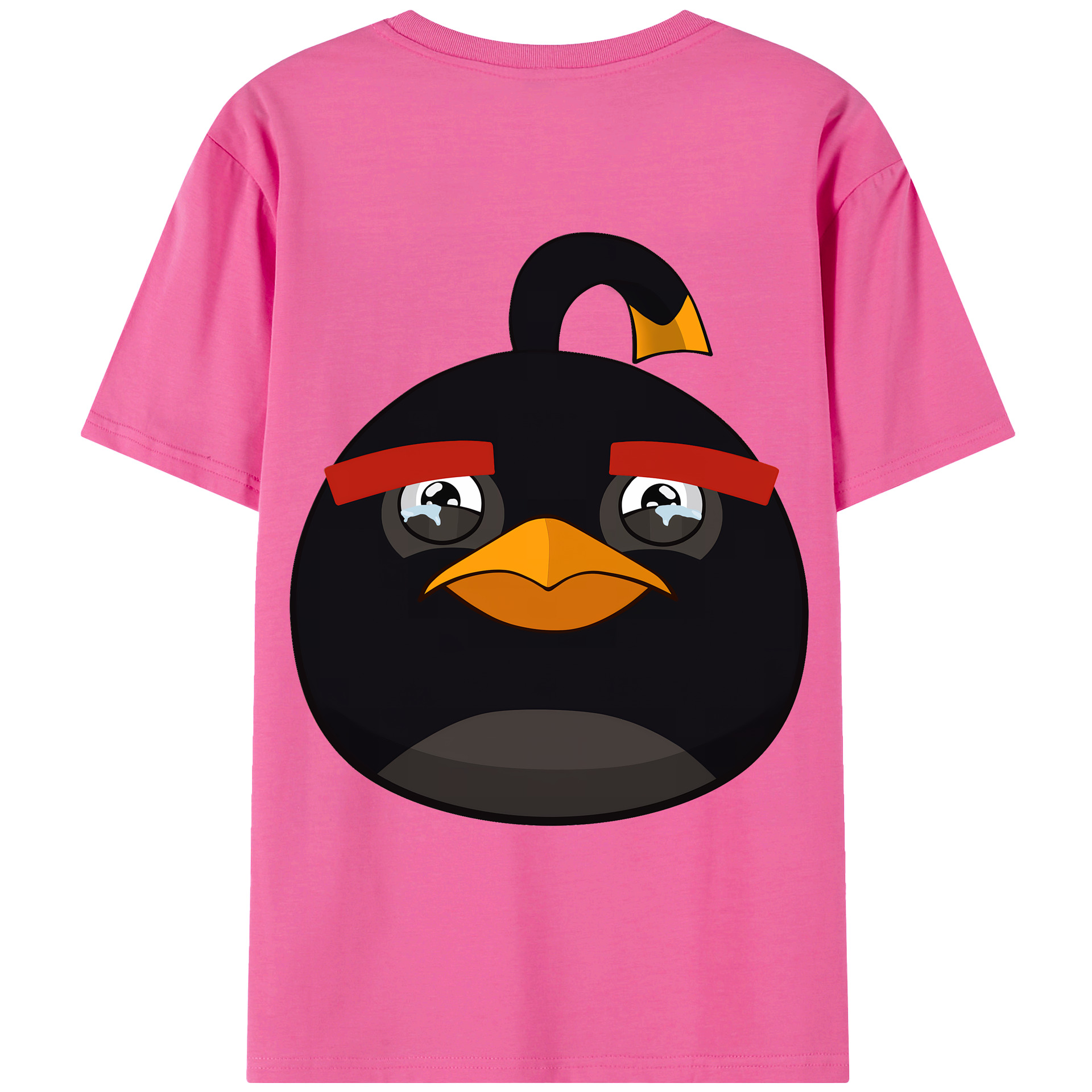 （画像用） Angry Birds アングリーバード レディース半袖Tシャツ(バックプリント)